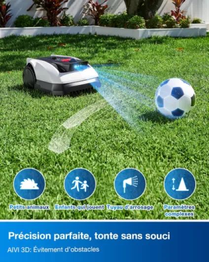 91QJU6abE4L._AC_SL1500_