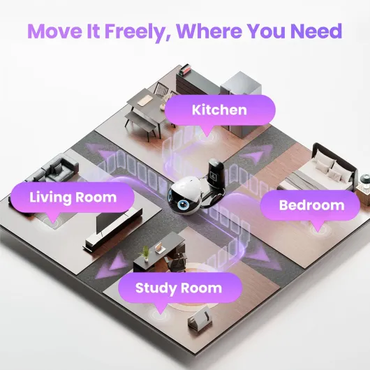 81C8nS7aczL._AC_SL1500_