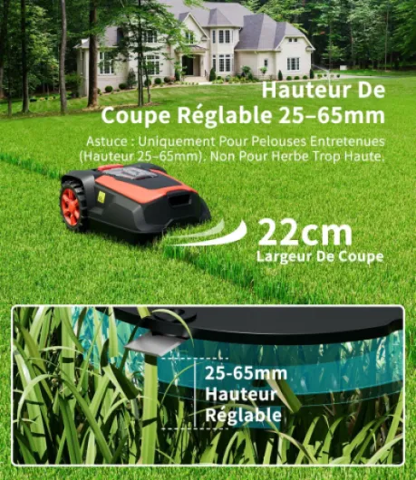 91d2uSJnW L._AC_SL1500_