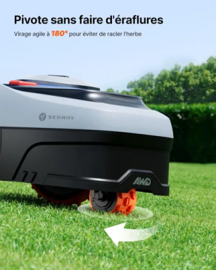 81BZDlsanZL._AC_SL1500_