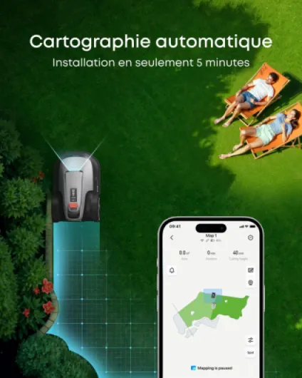 71C6ZEIva4L._AC_SL1500_