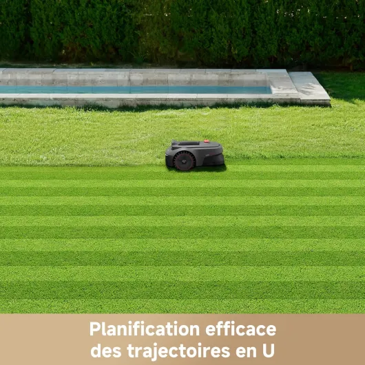 A1YRx--vpqL._AC_SL1500_