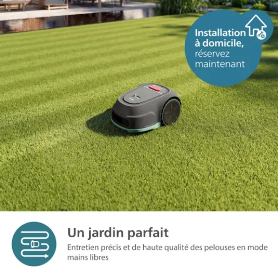 717AYjKMScL._AC_SL1250_