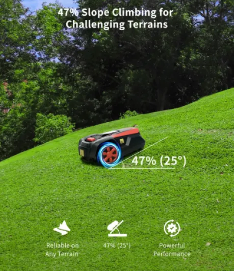 81VaGaRpayL._AC_SL1500_