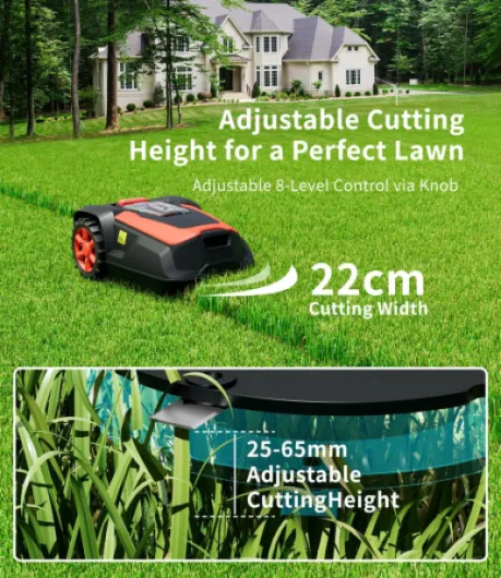 918iB6oCuML._AC_SL1500_