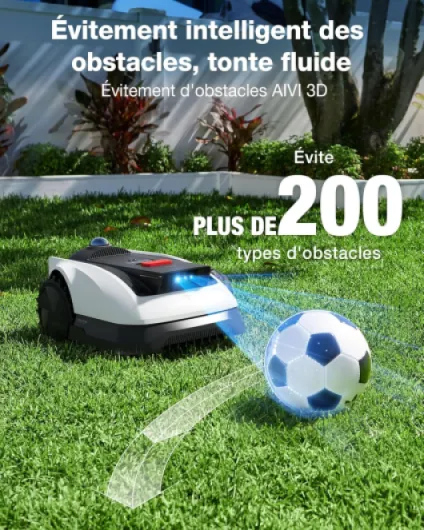 91I00xik2qL._AC_SL1500_