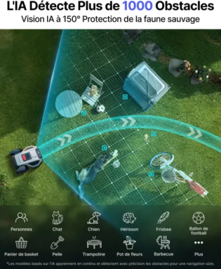 81urNFjqEHL._AC_SL1500_