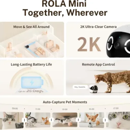Test Enabot EBO ROLA Mini FamilyBot : le petit robot-caméra qui suit vraiment ton chat partout